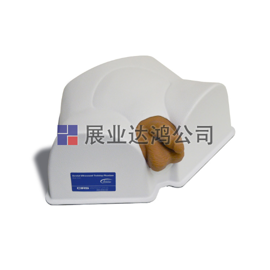 <b>CIRS 504A陰囊超聲訓練體模</b>